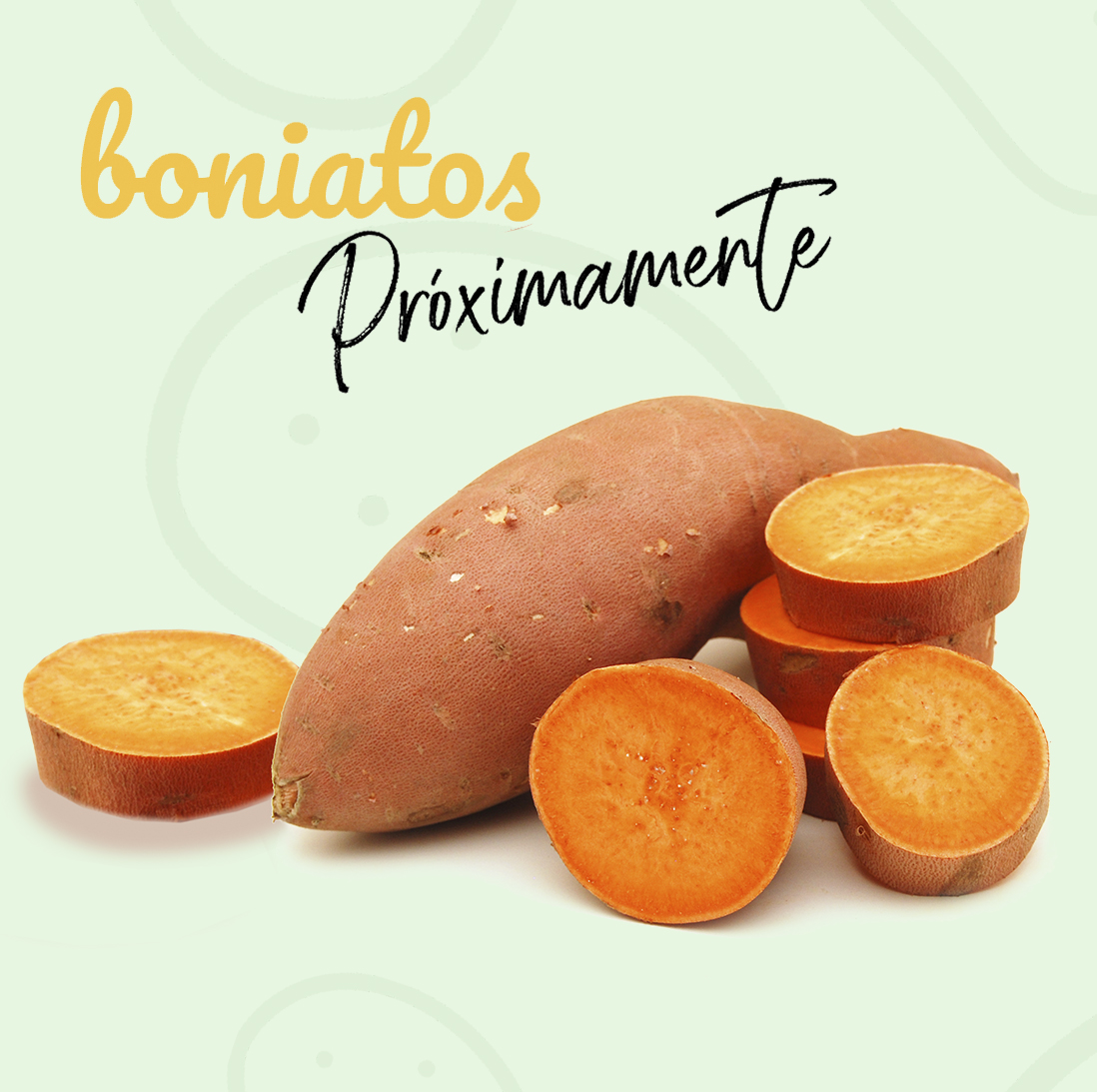 Proximamente boniatos