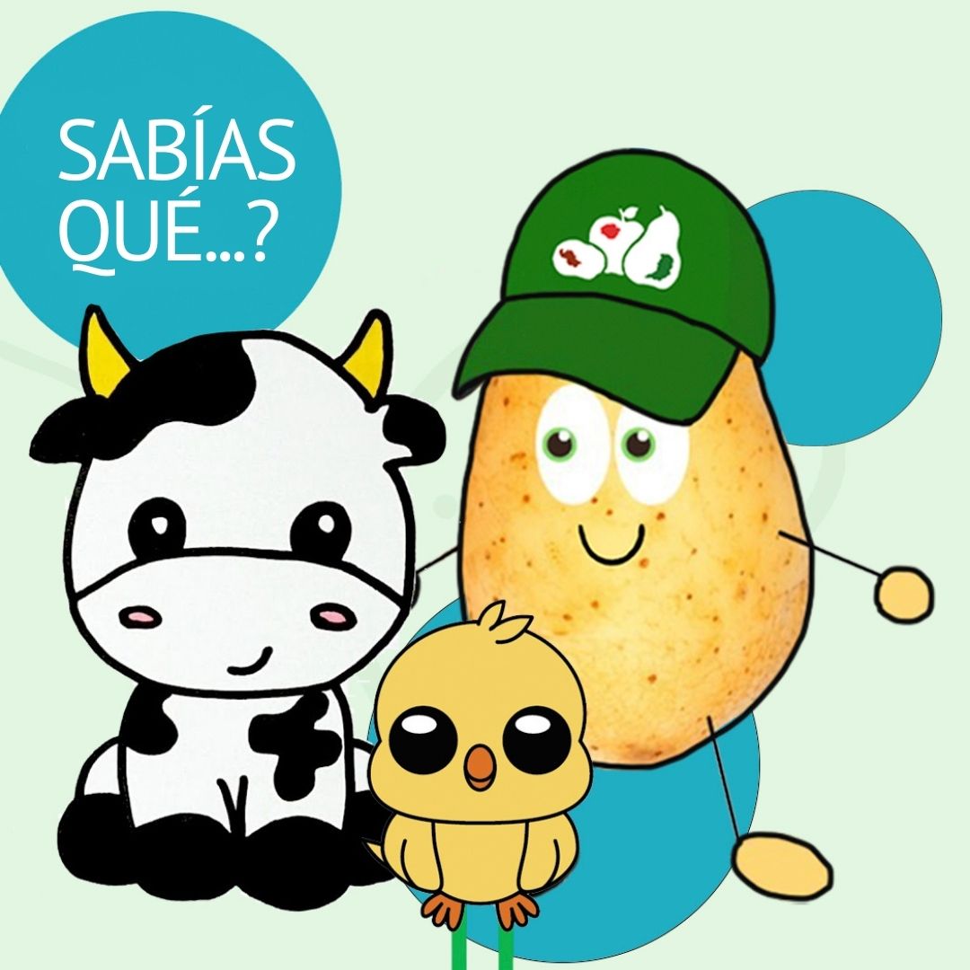 ¿Sabías qué…