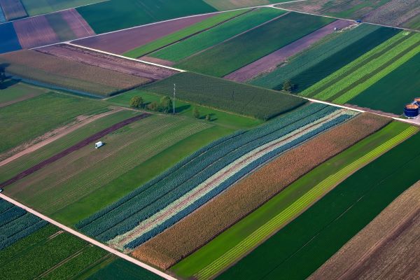 La importancia de la diversidad en la agricultura